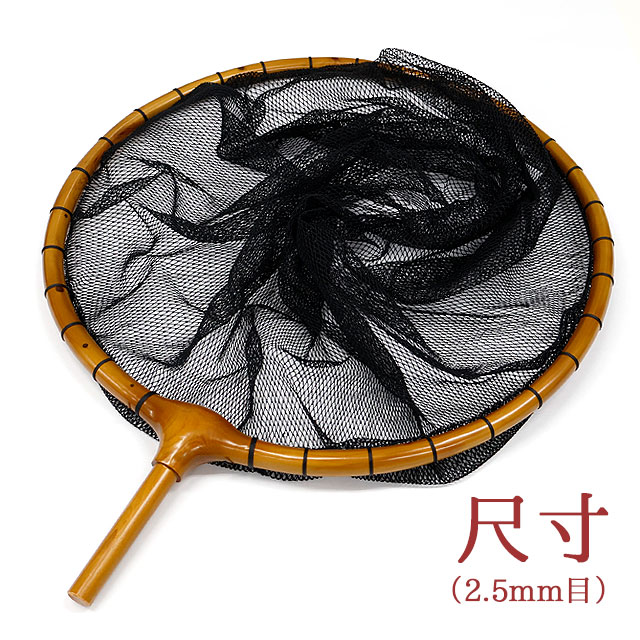 daishin-734887.jpg